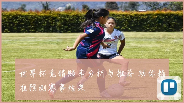世界杯竞猜赔率分析与推荐 助你精准预测赛事结果