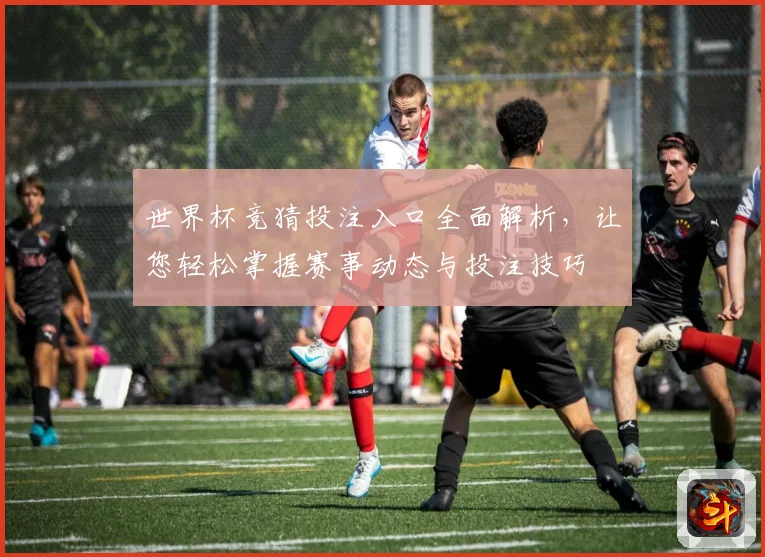 世界杯竞猜投注入口全面解析，让您轻松掌握赛事动态与投注技巧