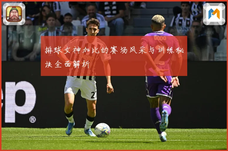 排球女神加比的赛场风采与训练秘诀全面解析