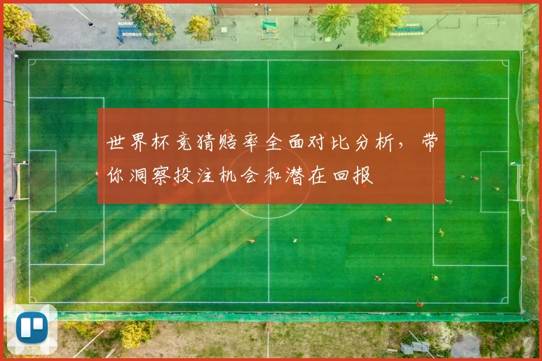 世界杯竞猜赔率全面对比分析，带你洞察投注机会和潜在回报