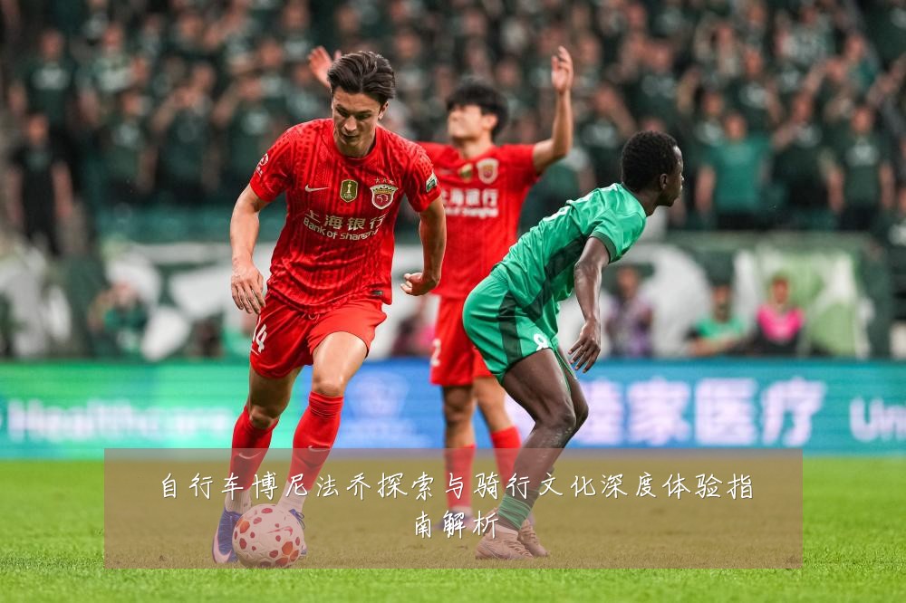 自行车博尼法乔探索与骑行文化深度体验指南解析